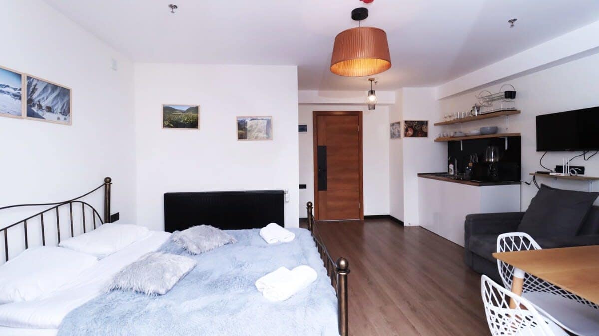 Gudauri Bright Apartment, Near Main Lift in Gudauri