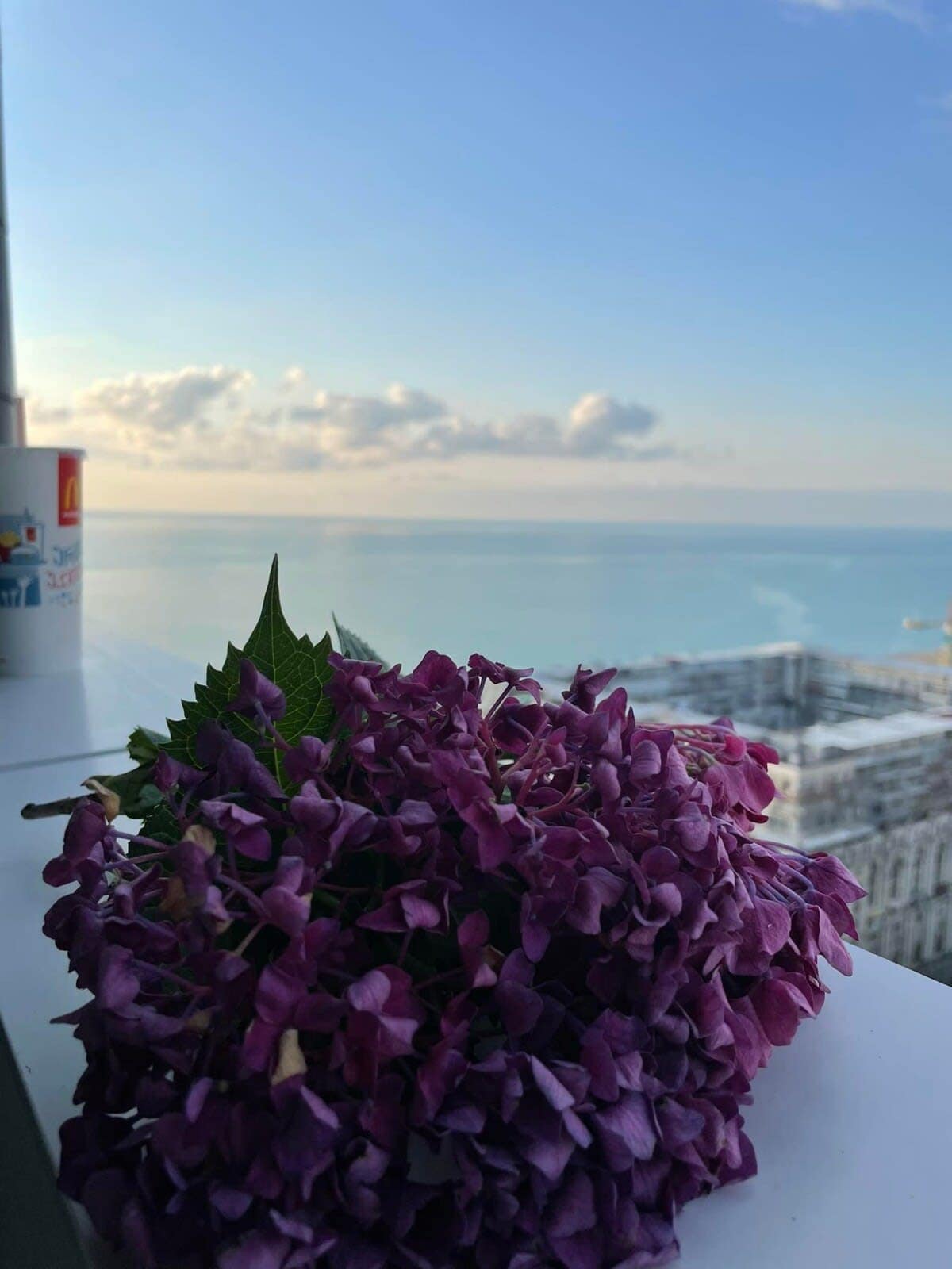 Enjoy a spectacular view overlooking both the sea and the vibrant city of Batumi, creating an unforgettable atmosphere