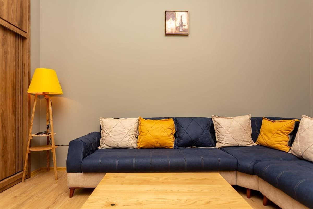 Central 2 Bedroom Apartment with Balconies in Chugureti