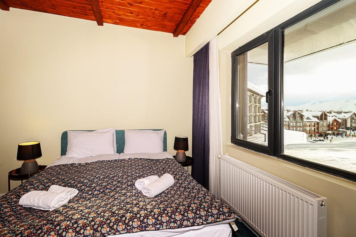 Charming Ski In/Out Apartment- Managed in Gudauri